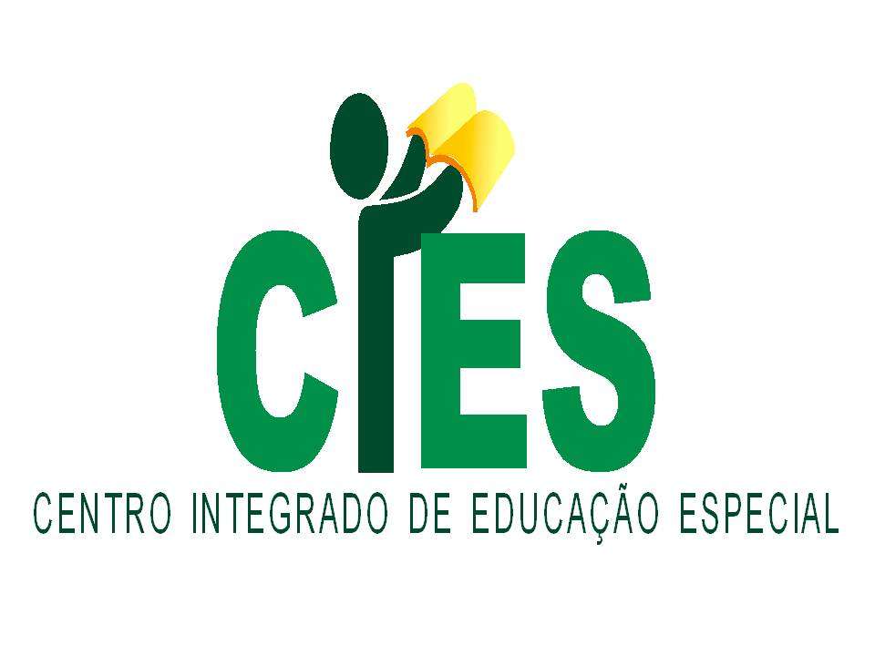 CIES HOLIDAYS online puzzle