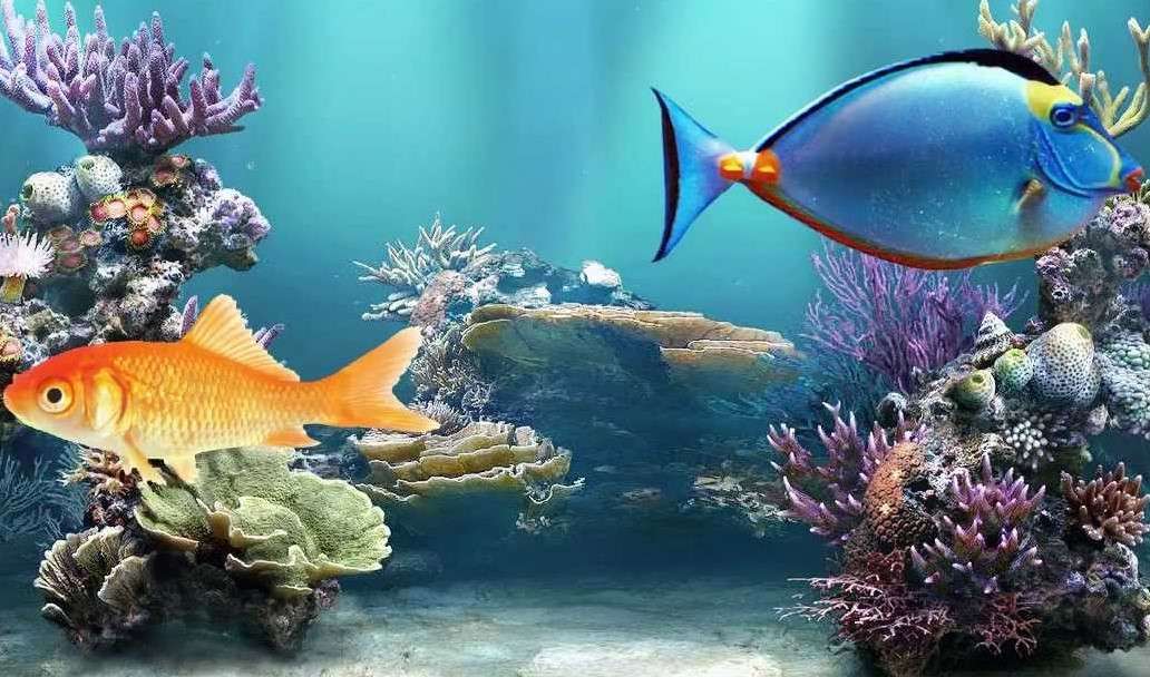 Vissen tussen koralen online puzzel