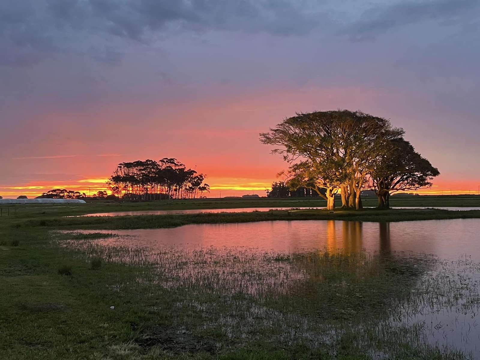 hermosos paisajes rompecabezas en línea