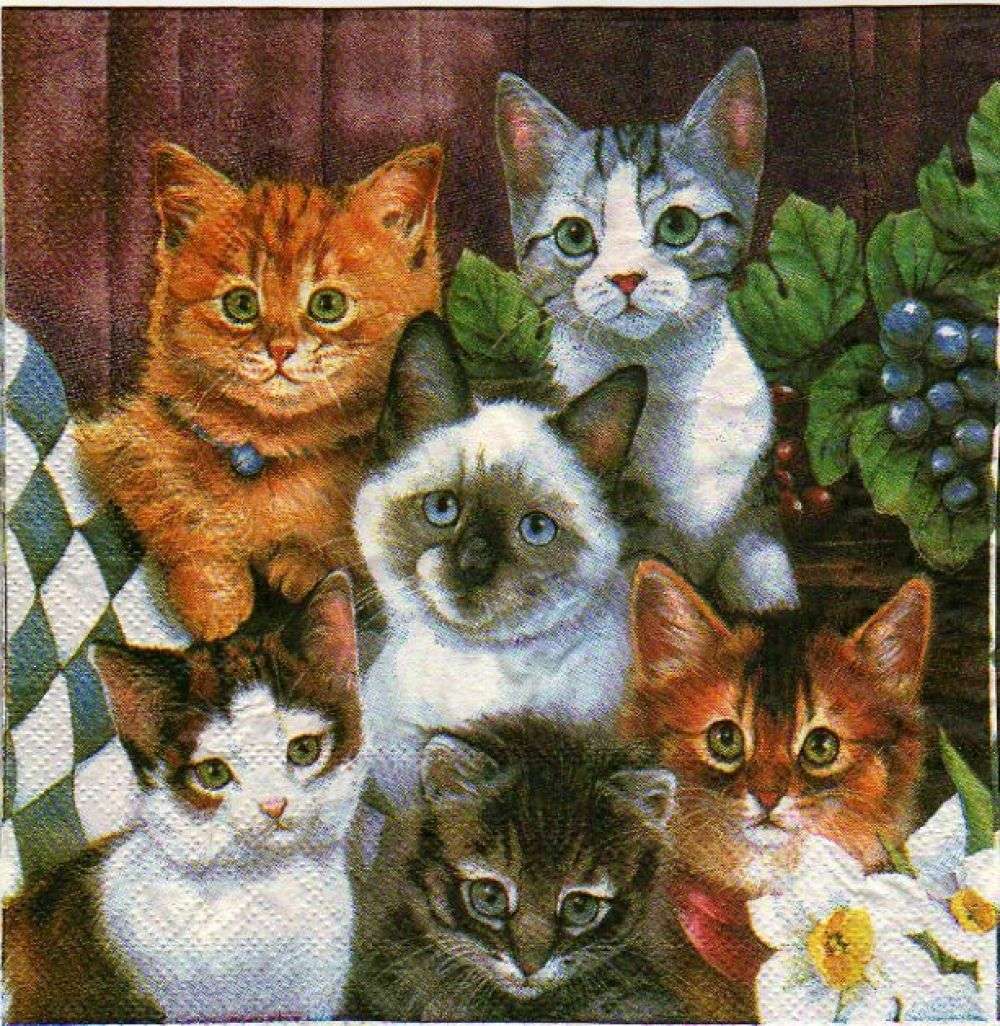 Verschillende kleuren kittens online puzzel