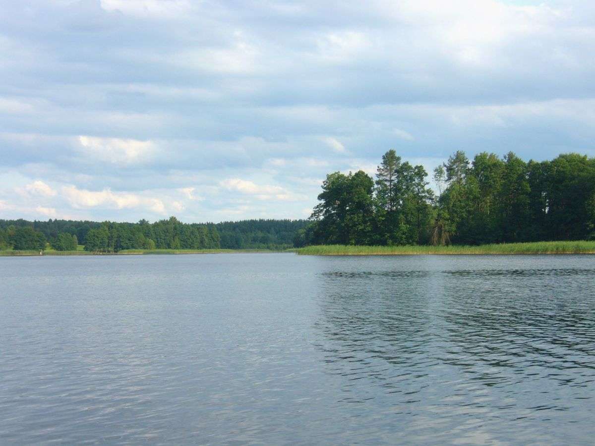 Um lago na região de Suwałki quebra-cabeças online