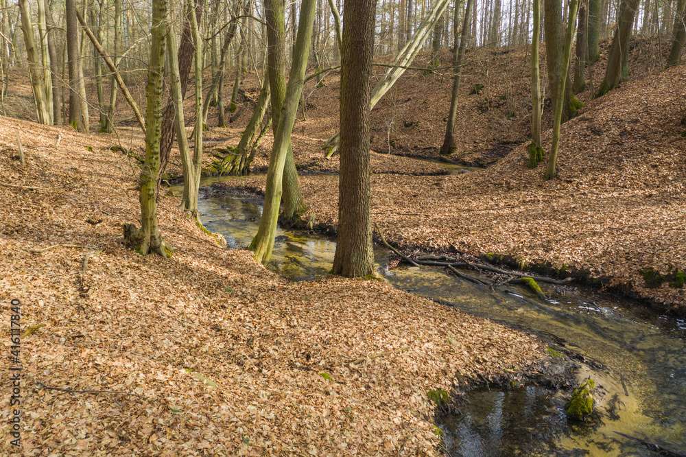 Een beekje tussen de bomen online puzzel