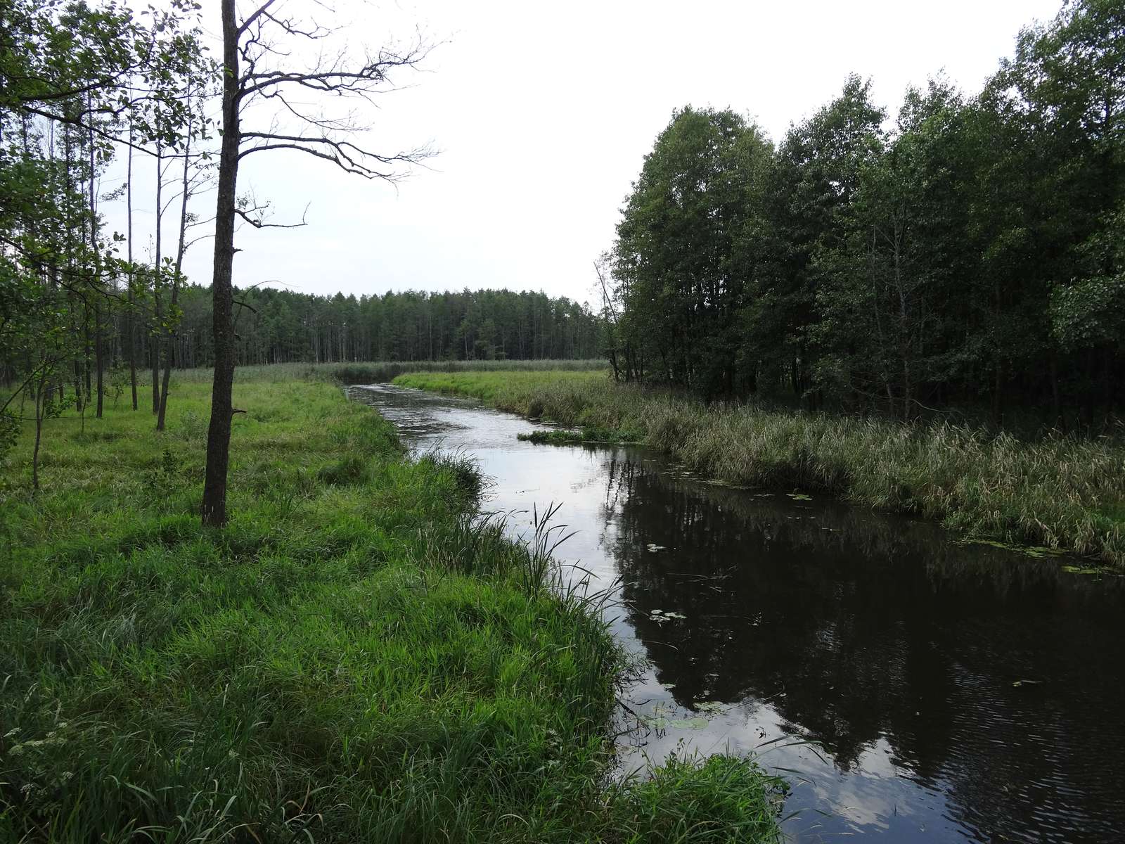 Fluss Marycha, Region Suwałki Puzzlespiel online