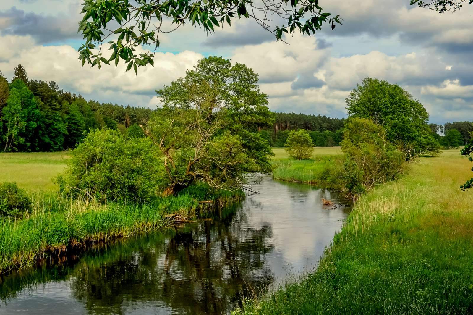 Prachtige rivier tussen weilanden online puzzel