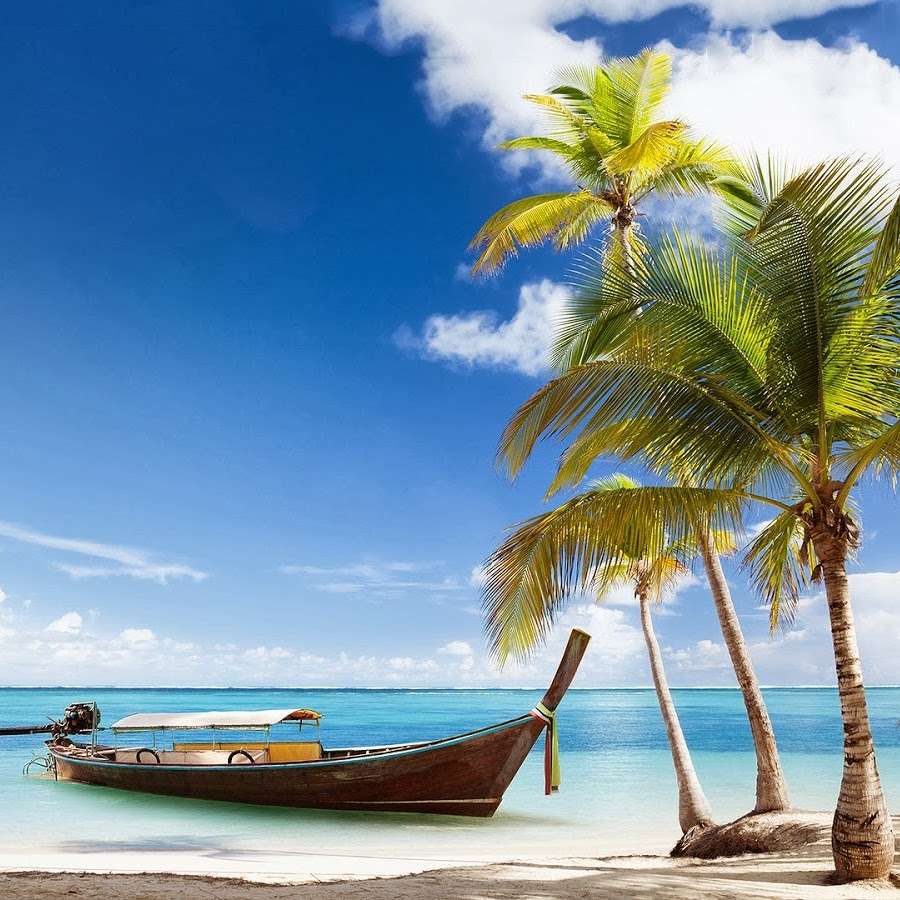 Beach in the tropics jigsaw puzzle online
