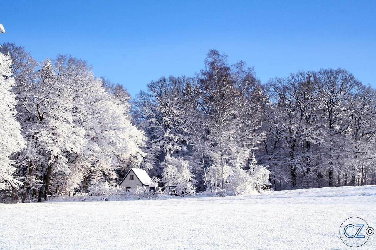 Vinter, landskap Pussel online
