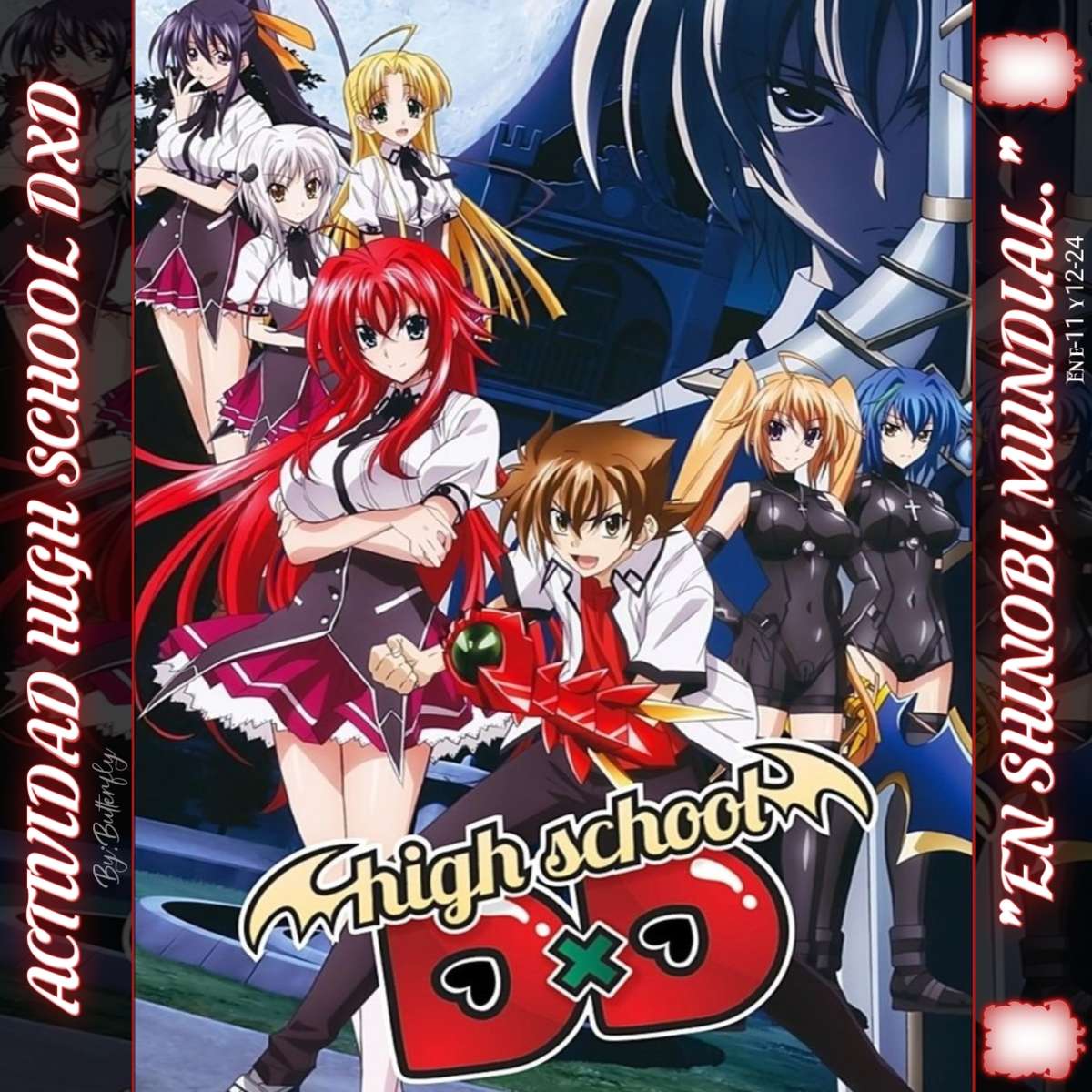 High-School-DXD-SM-Aktivität Online-Puzzle