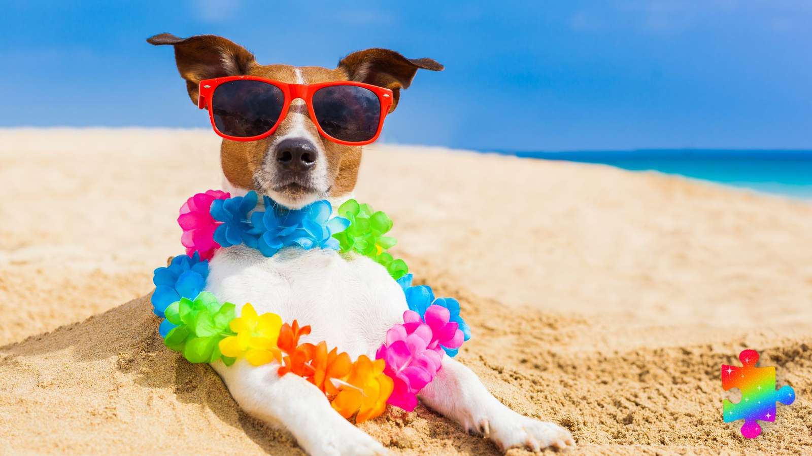 Perro de playa rompecabezas en línea