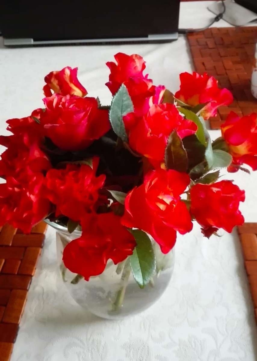 flores rojas en un jarrón rompecabezas en línea
