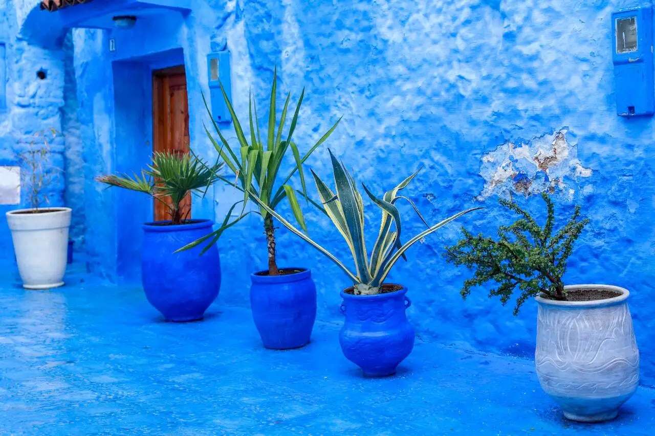 Η μπλε πόλη Chefchaouen στο Μαρόκο online παζλ