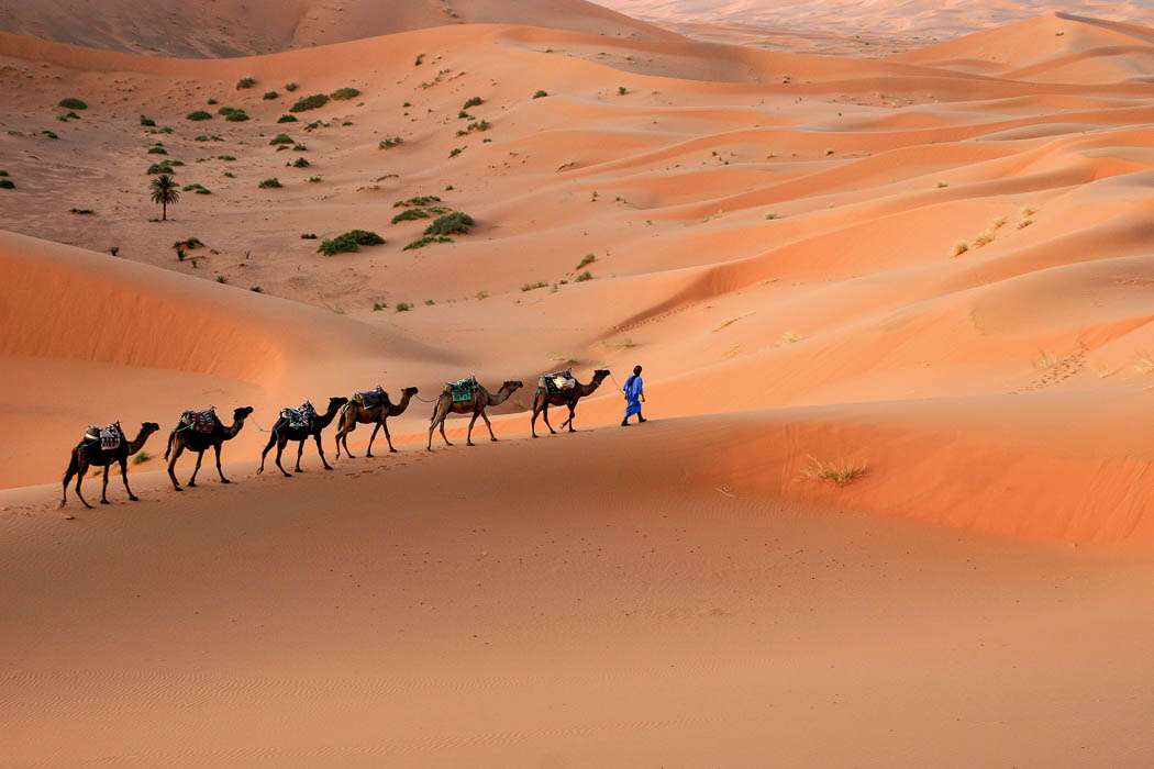 Пустыня Сахара в Марокко в Африке онлайн-пазл