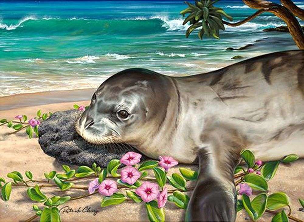 La cría de foca más linda rompecabezas en línea