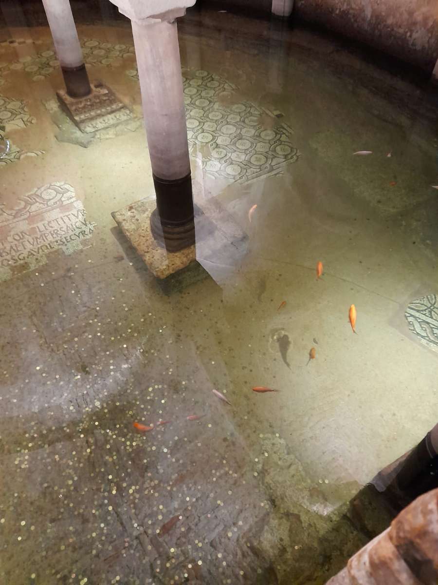 S. Francesco, Ravenna, cripta con pesci rossi puzzle online