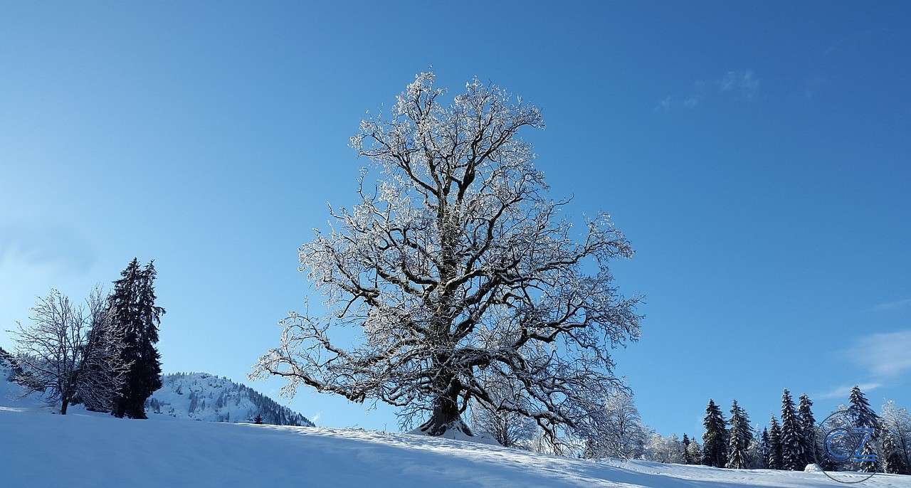Schnee, Natur, Hügel Puzzlespiel online