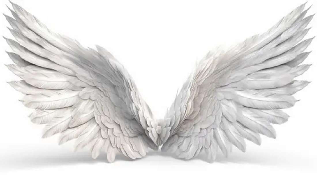 fehér-angyal-szárnyak-fehér alapon kirakós online