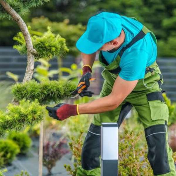 Κηπουρός – Επαγγέλματα και Επαγγέλματα online παζλ