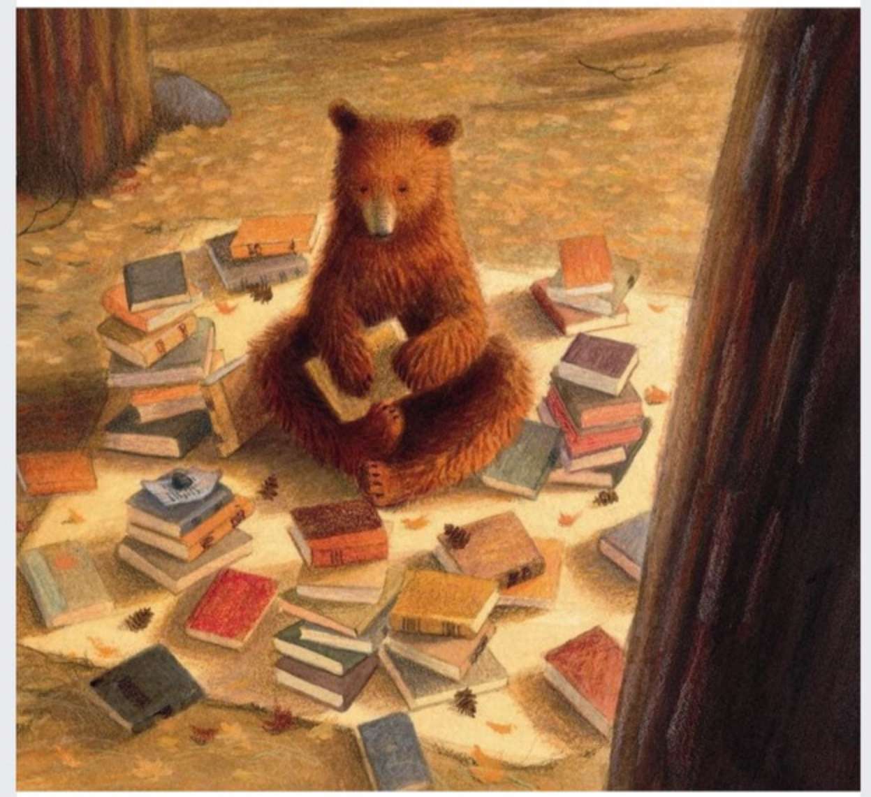 Лис и медведь читать. Медведь с книгой. Медвежонок с книжкой. Мишки в книжке. Мишка сидит на книжках.