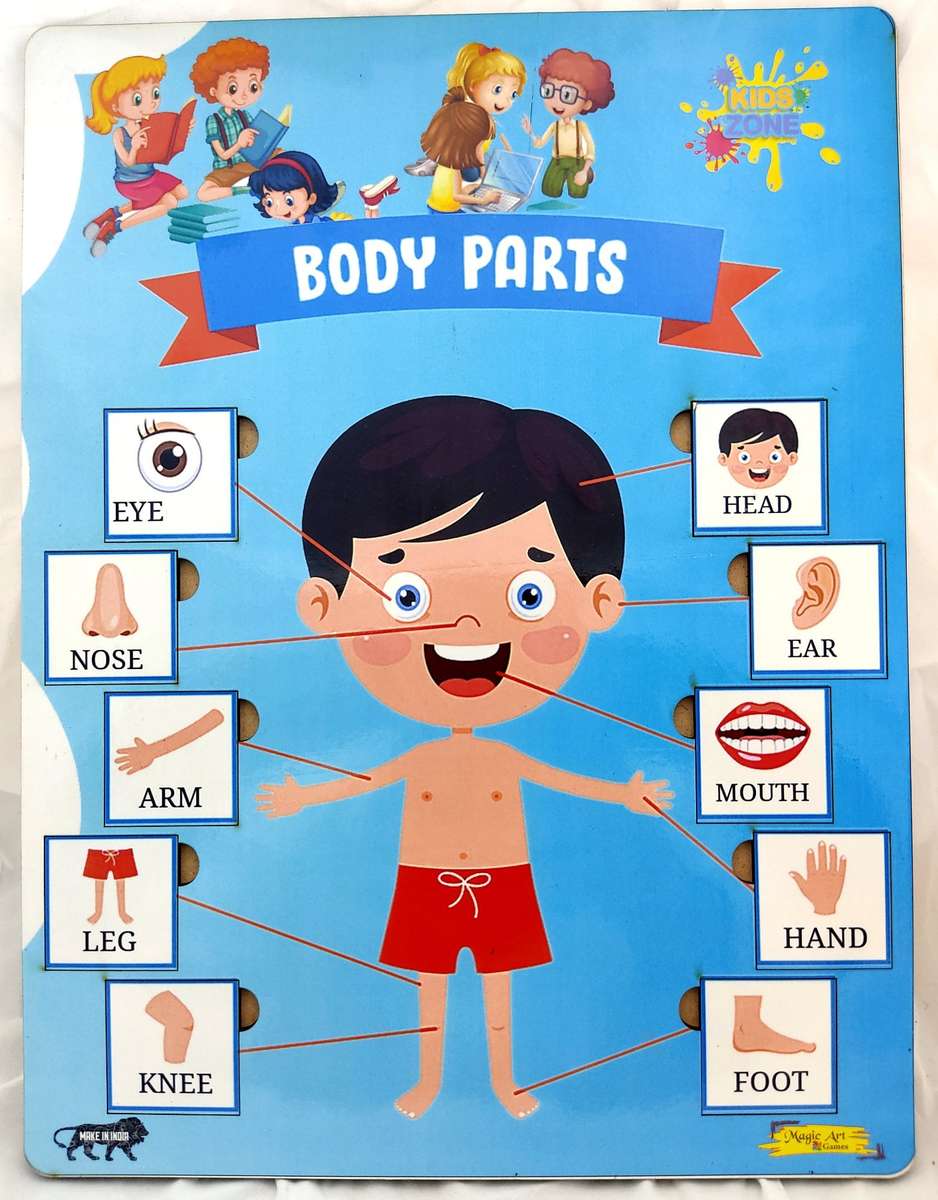 PARTS OF THE BODY jigsaw puzzle online