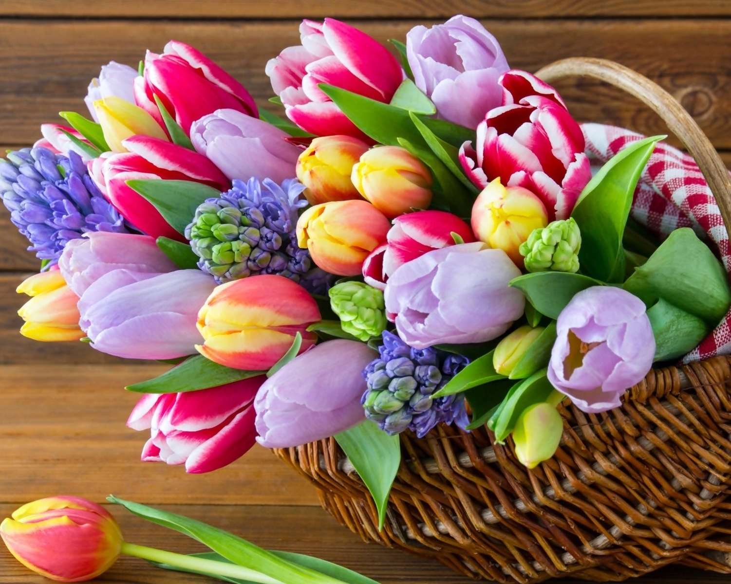 Colorful tulips online puzzle