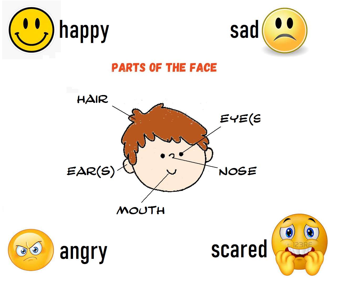 PARTIES DU VISAGE - SENTIMENT puzzle en ligne