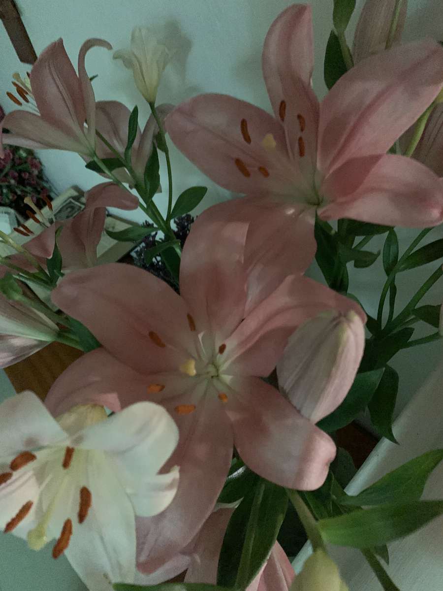 Růžové květy online puzzle