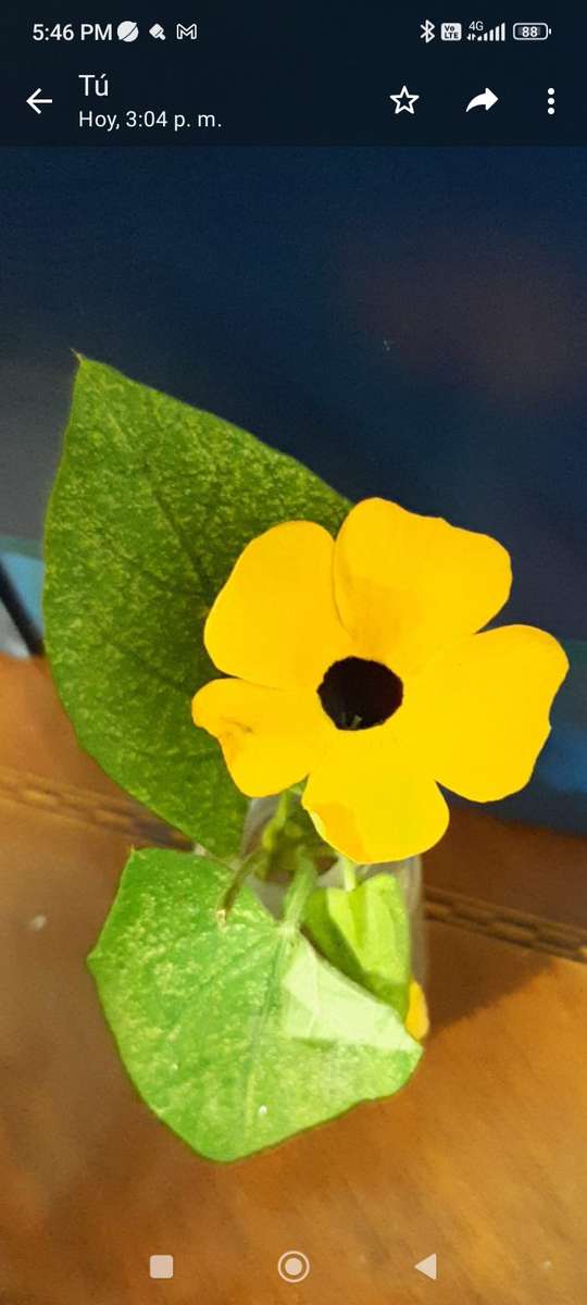 Jdt_yellow_flower_green_leaf онлайн-пазл