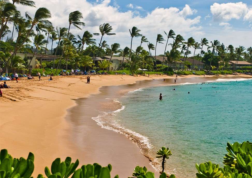 Пясъчен плаж в Хавай онлайн пъзел