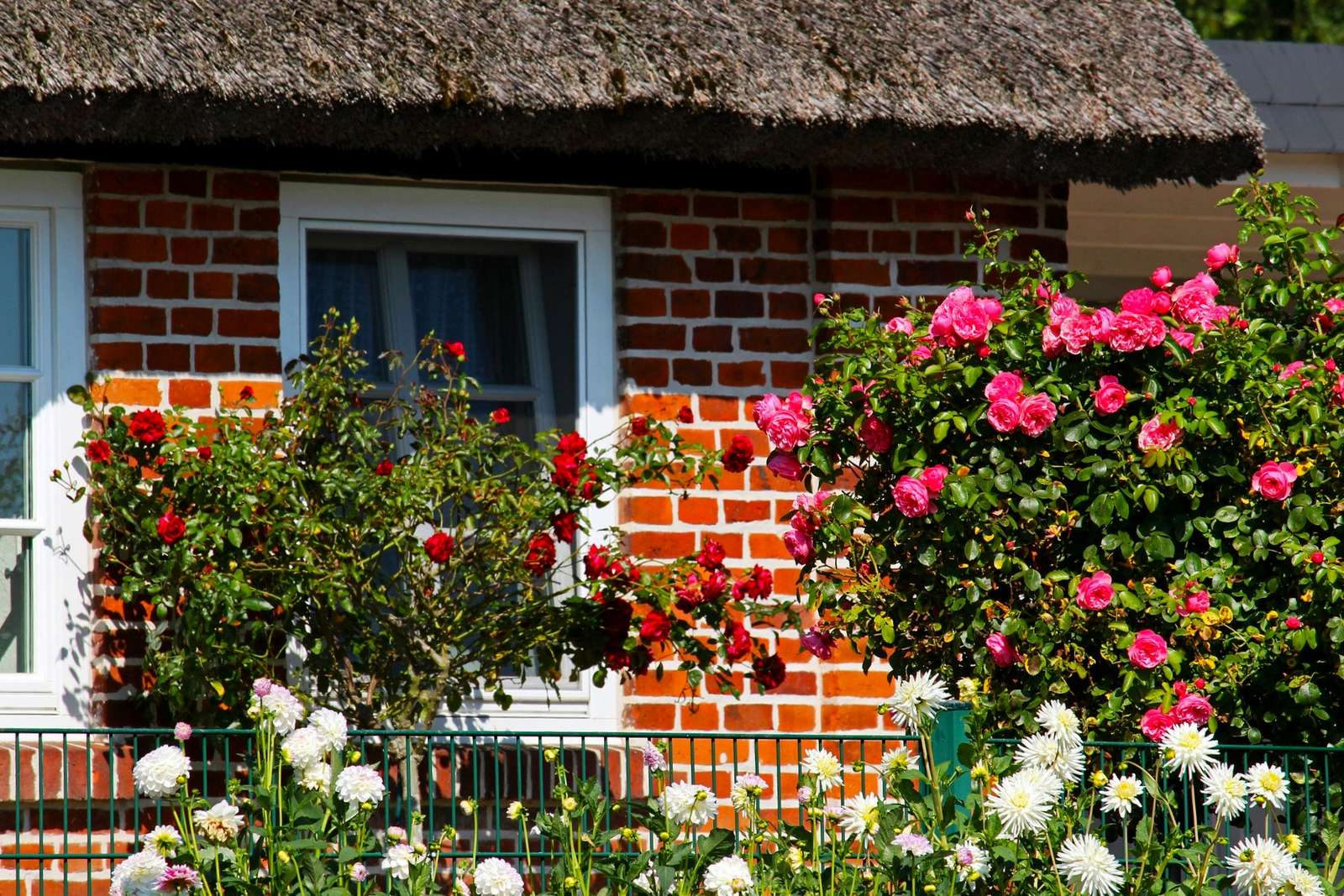 Maison entourée de roses (île de Rügen) puzzle en ligne