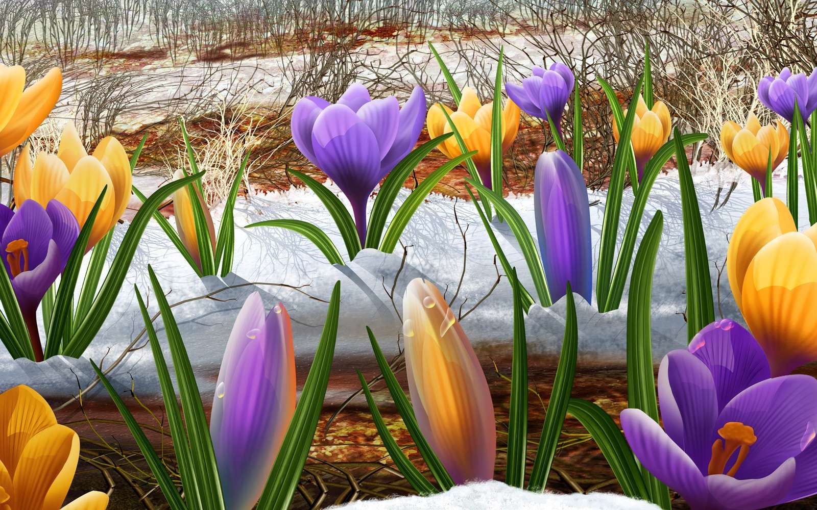 Crocuses are blooming jigsaw puzzle online
