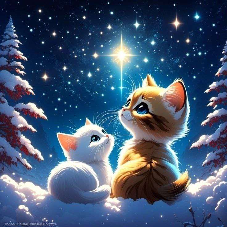 Karácsony éjszakai cicák online puzzle