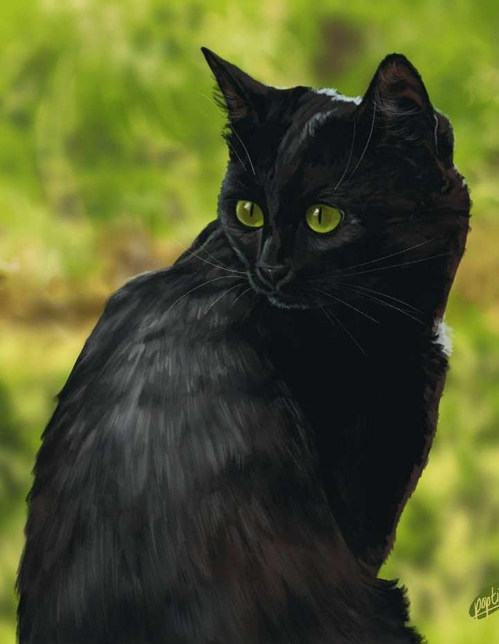 Černá kočička online puzzle