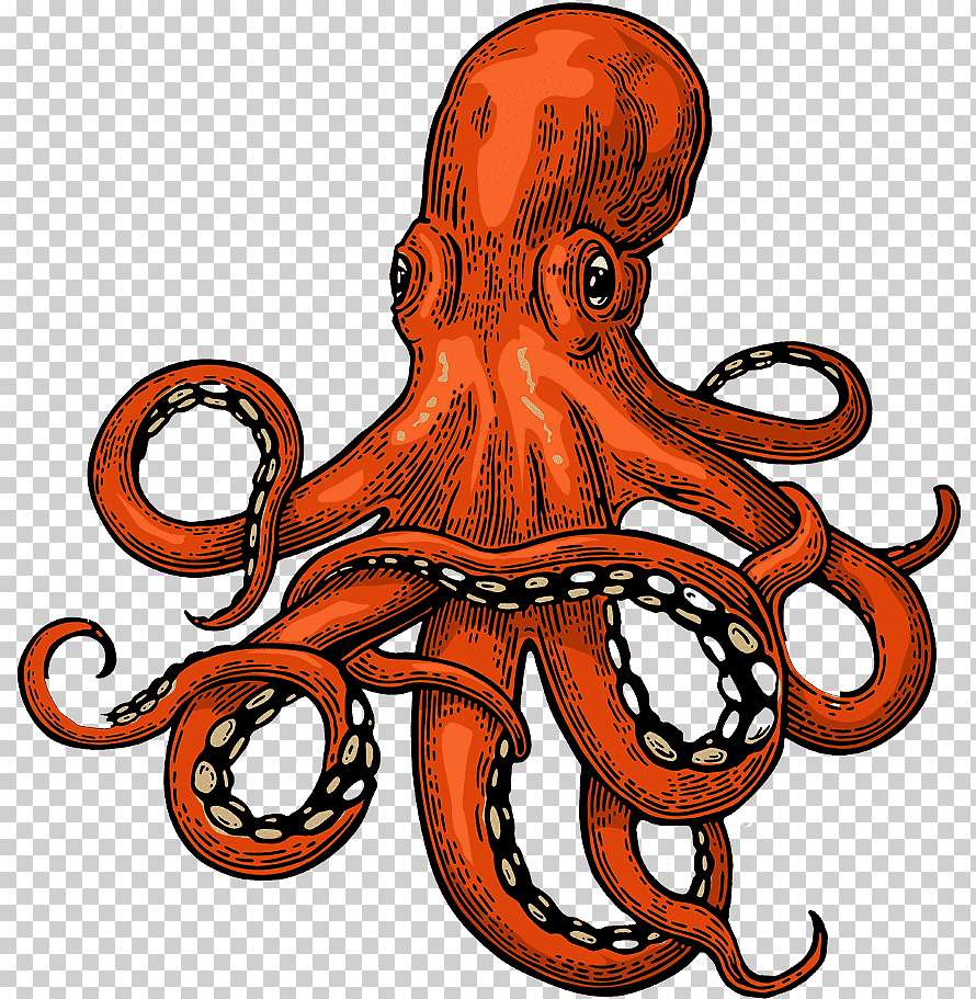 the octopus jigsaw puzzle online