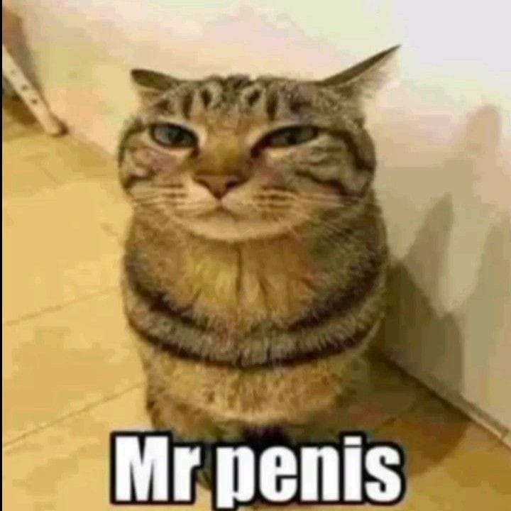 Meneer Penis legpuzzel online
