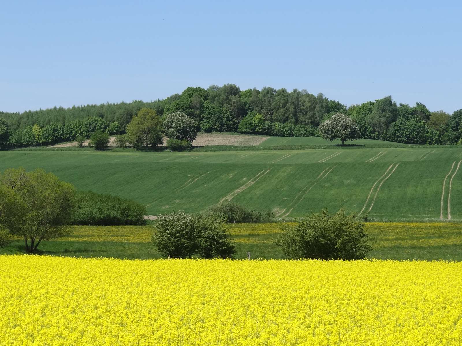 панорама онлайн пъзел