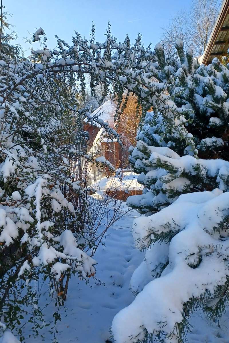invierno nevado en el jardín rompecabezas en línea