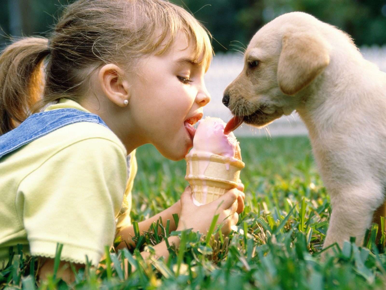 Собака и девочка лижут мороженое пазл онлайн