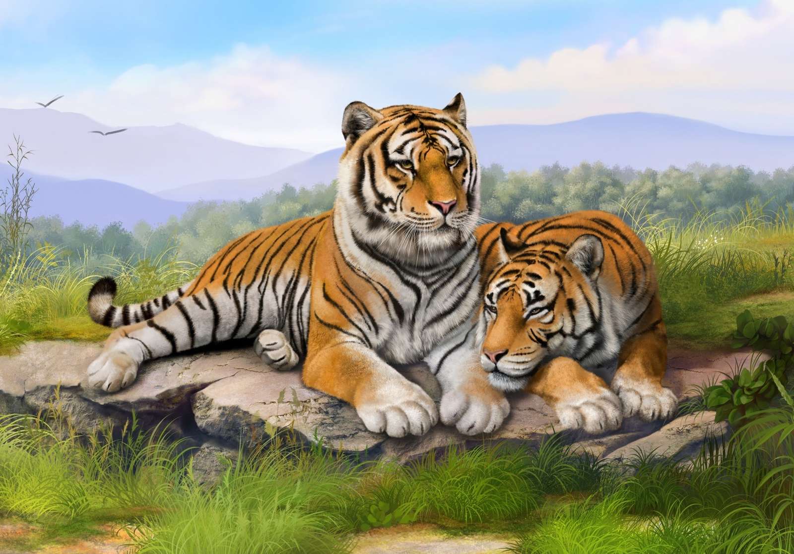Familia tigrilor din Bengal puzzle online