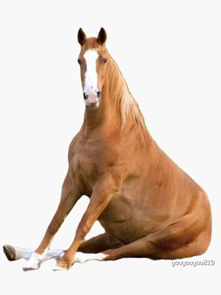 красивий кінь онлайн пазл