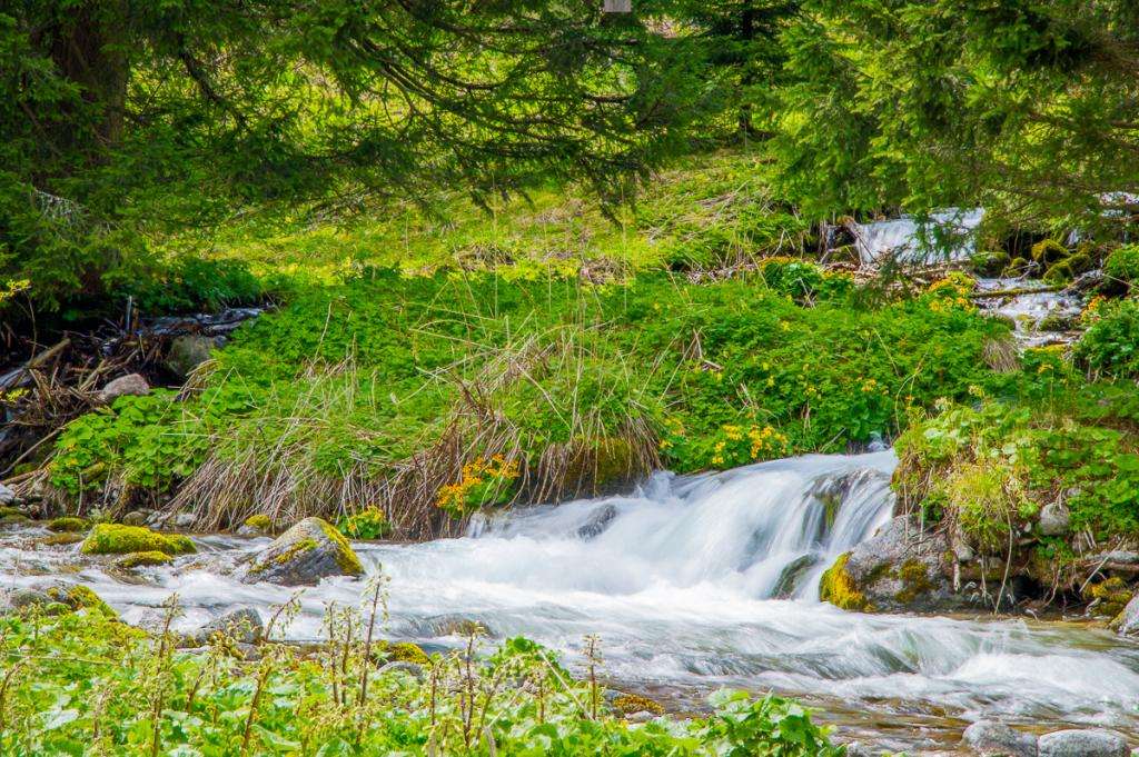 Un pârâu grăbit în Munții Tatra jigsaw puzzle online