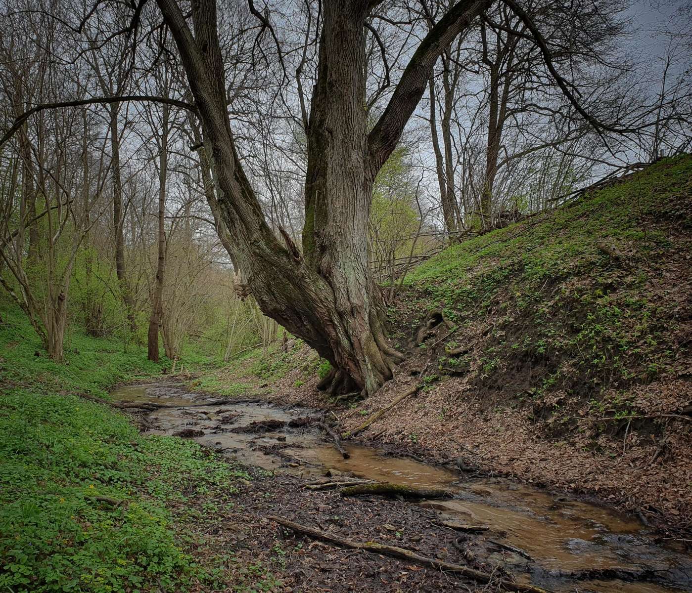 Vallée du ruisseau Gnojnik puzzle en ligne