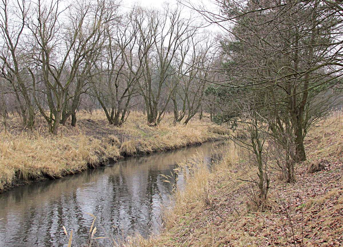 Реката в началото на пролетта онлайн пъзел