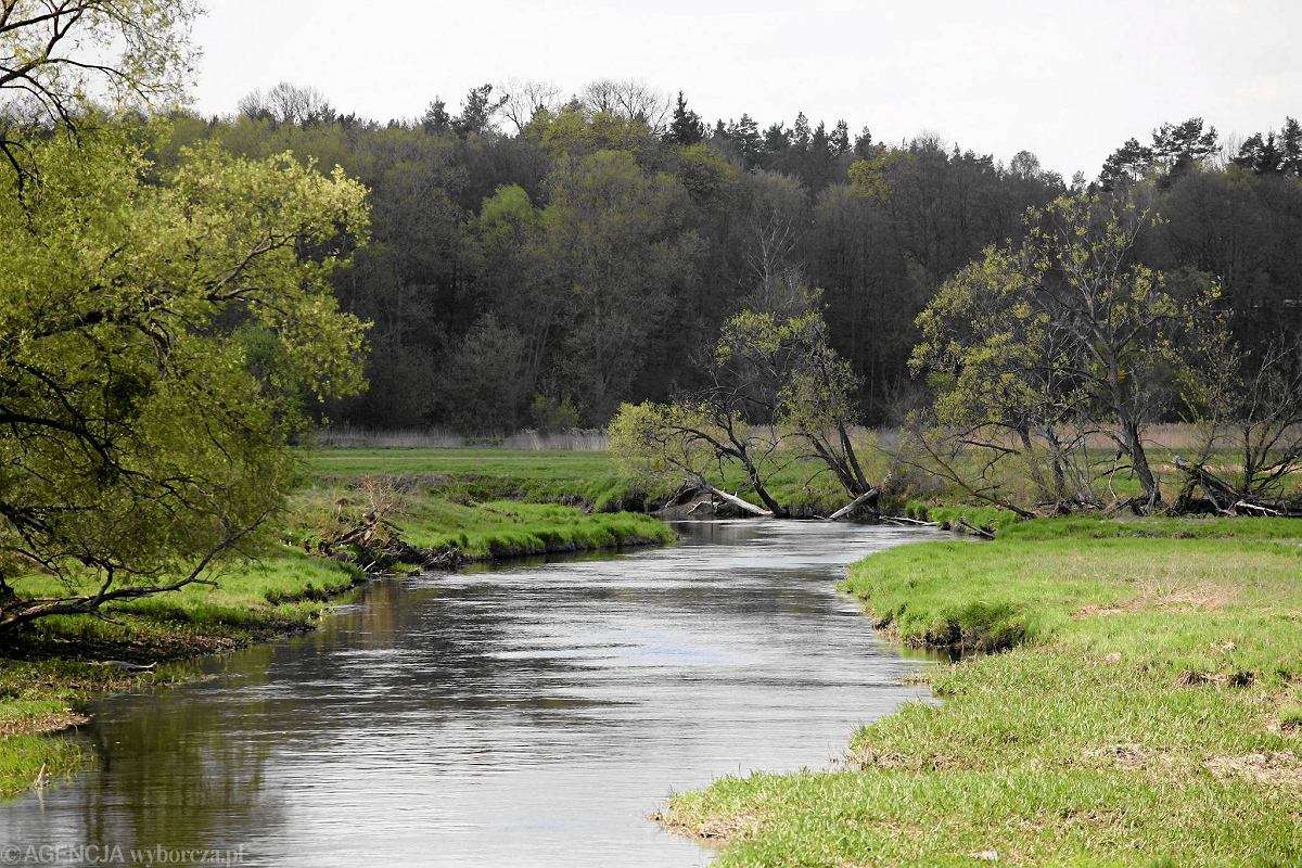 Ο ποταμός Supraśl στο Podlasie παζλ online