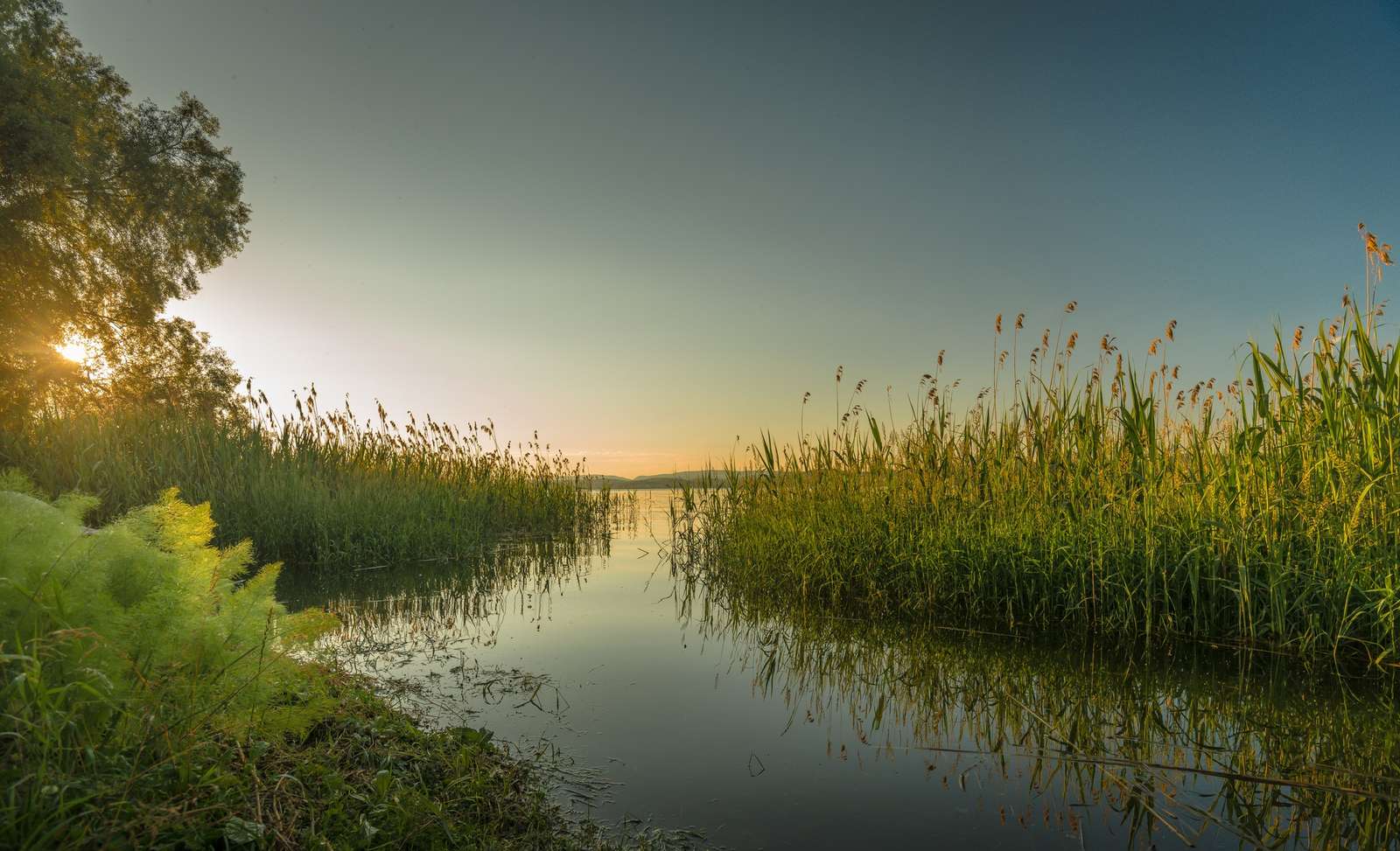 Озеро в Кочеве, рассвет пазл онлайн