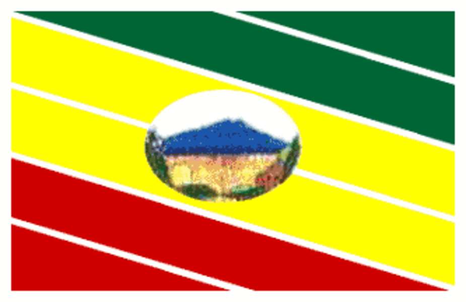 Σημαία της Νίργκουα παζλ online