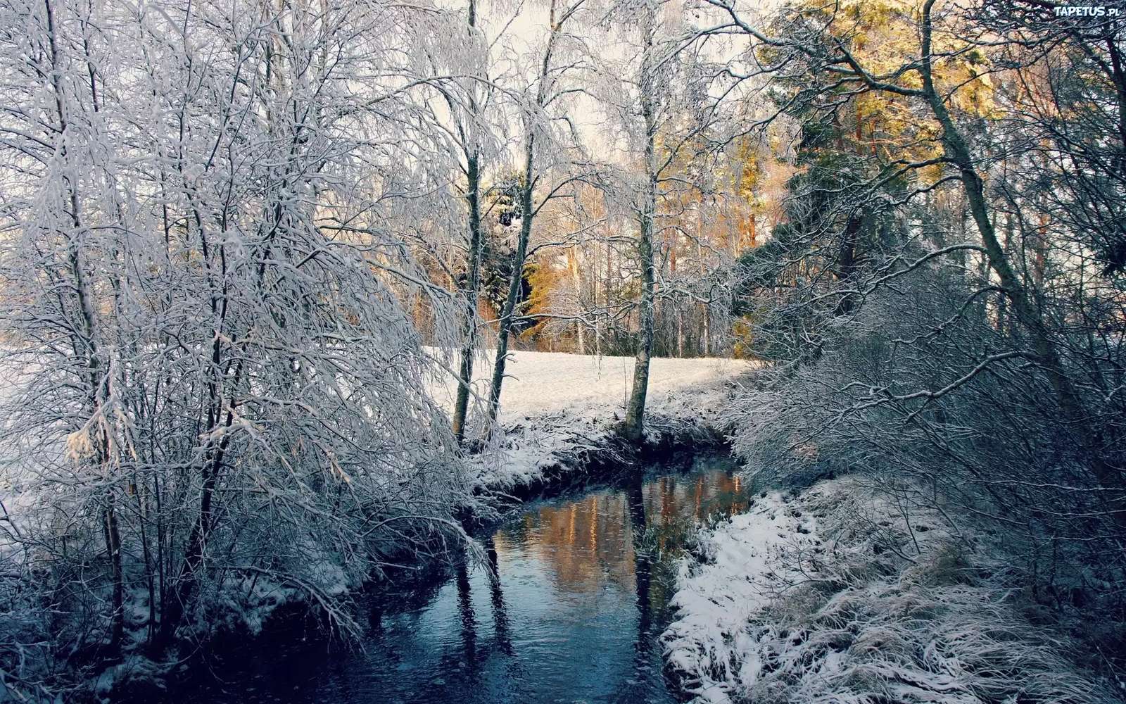 Een rivier in het winterbos legpuzzel online