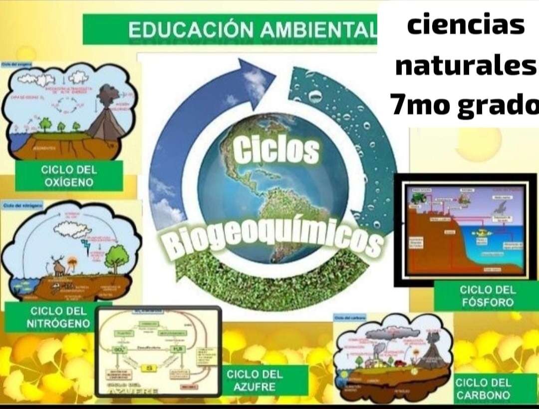 ciclos biogeoquímicos puzzle online