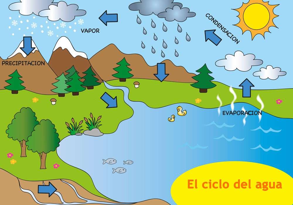 Water cycle online puzzle