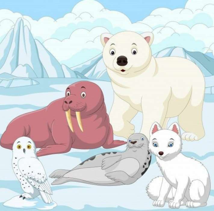 Animais polares quebra-cabeças online