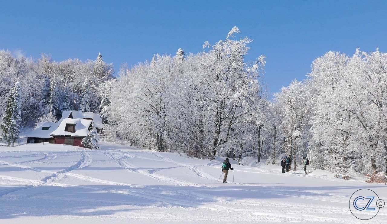 Vinter, berg, träd, snö Pussel online