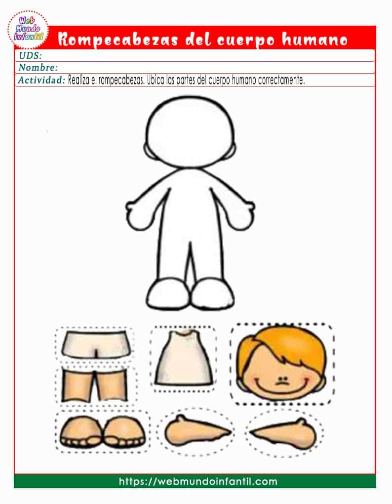 Partes Del Cuerpo Humano Rompecabezas En Línea